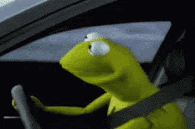 a kermit the frog is driving a car with a seat belt on .