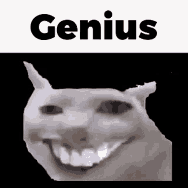 a white cat with a big smile on its face and the words `` genius '' above it .