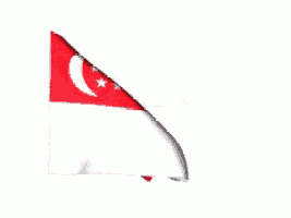 a singapore flag is waving in the wind