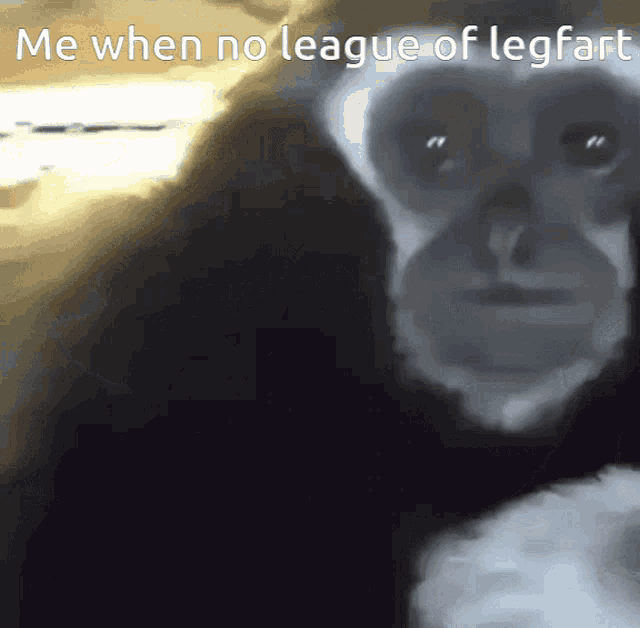 a monkey with the words me when no league of legfart on it