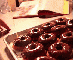 a tray of chocolate covered donuts sits on a table next to a book
