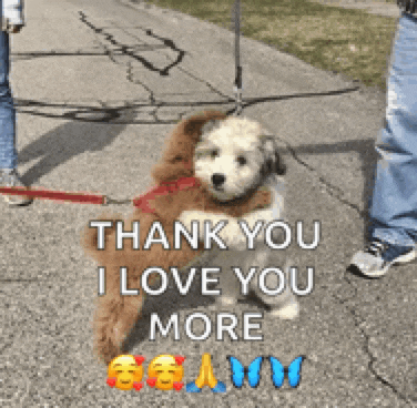 a picture of a dog on a leash with the words thank you i love you more