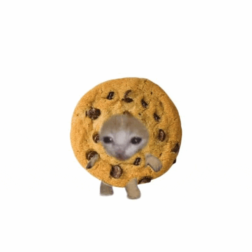 a round chocolate chip cookie with a cat 's face on it