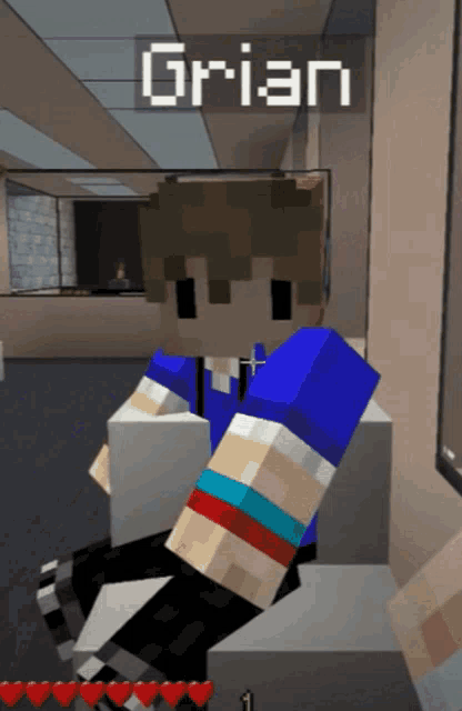 a minecraft character with the name brian on the top