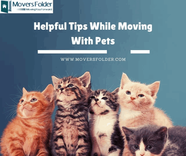 a group of kittens are sitting next to each other with the words helpful tips while moving with pets