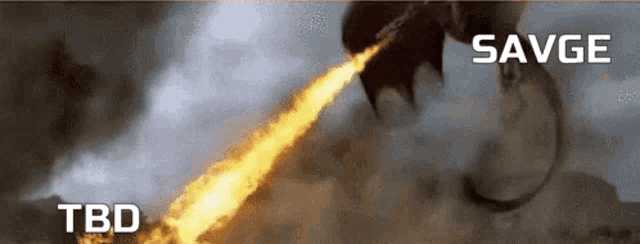 a picture of a dragon with fire coming out of its mouth says savge