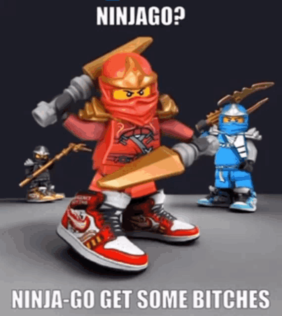 a picture of a lego ninjago holding a sword and says ninja-go get some bitches