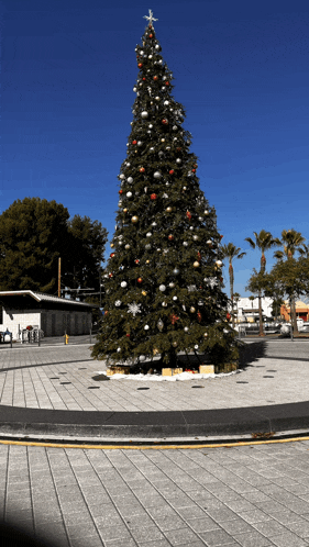 a large christmas tree with gifts underneath it in a square