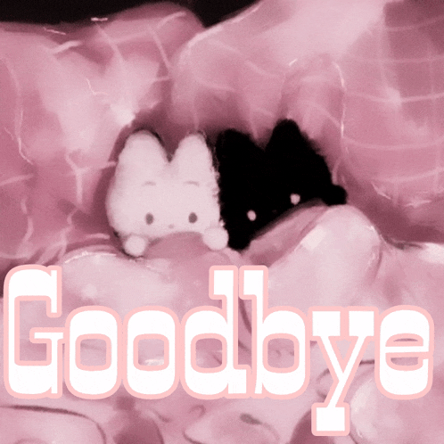 the word goodbye is on a pink background with a stuffed animal