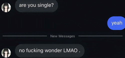 a person is asking another person if they are single and the other person is saying no fucking wonder lmao