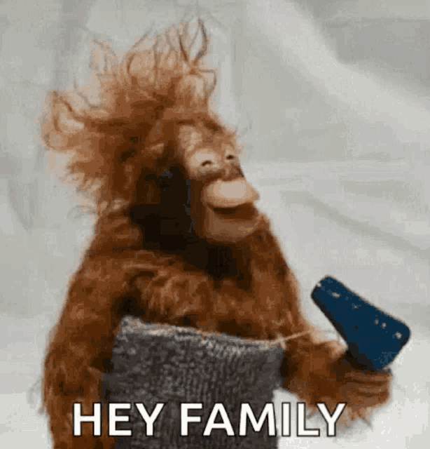 a monkey is blow drying his hair and says hey family