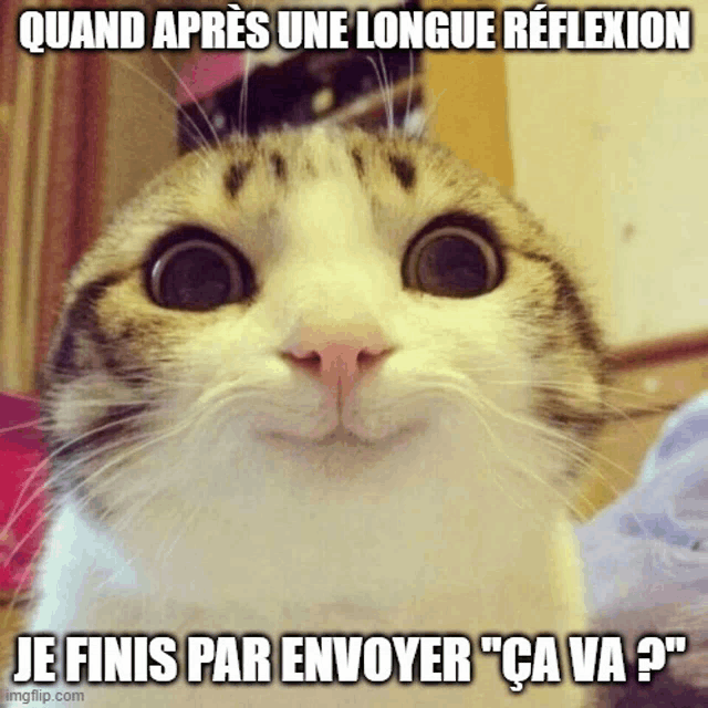 a cat with a caption that says " quand apres une longue reflexion "