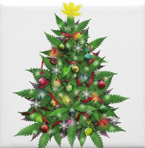 a christmas tree made out of marijuana leaves with a yellow star on top