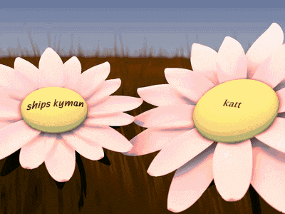 two pink daisies with the words ships kyman and katt on the centers