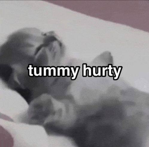 a black and white photo of a kitten with the words tummy hurty written on the bottom