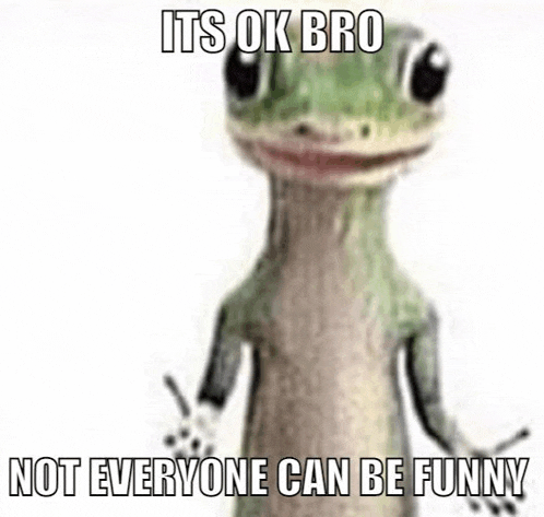 a lizard with a caption that says `` its ok bro not everyone can be funny ''