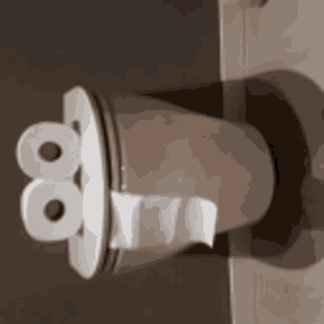 a toilet with a roll of toilet paper on top