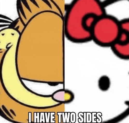 garfield and hello kitty are two different cartoon characters with two sides .