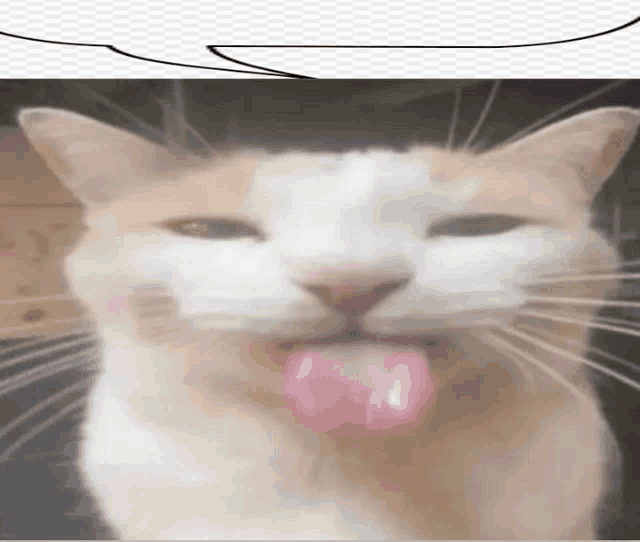 a cat sticking its tongue out with a speech bubble above it