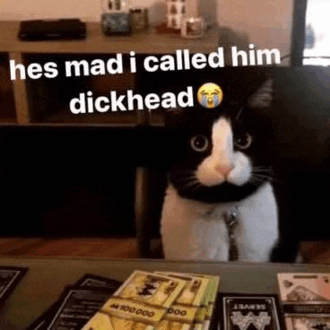 a black and white cat is sitting at a table with a pile of money .