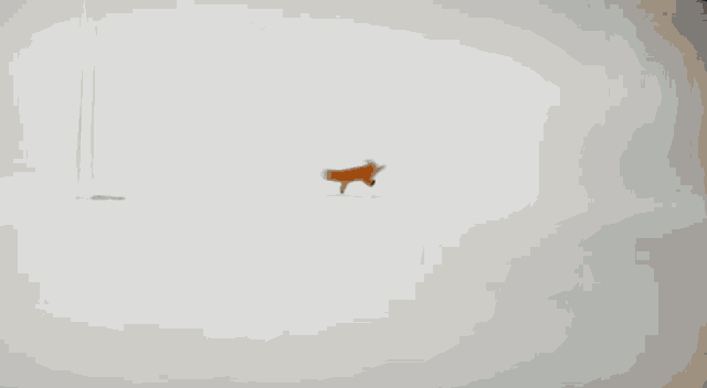 a man in a black jacket is running in front of a pixelated fox .