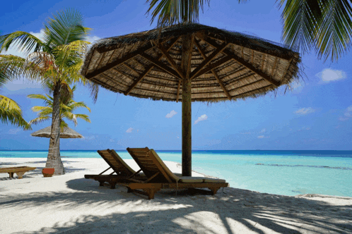 two chairs under an umbrella on the beach