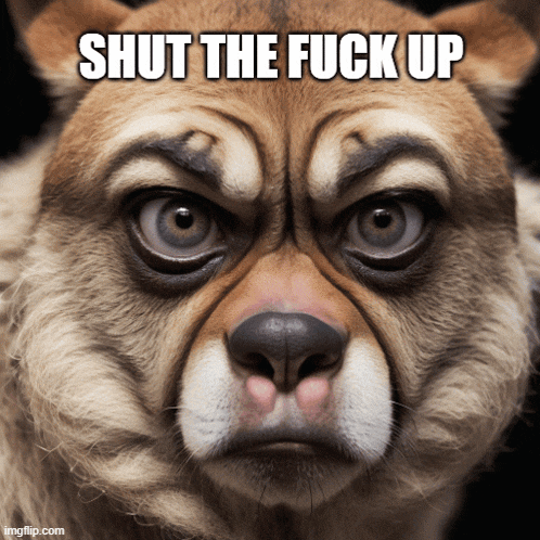 a close up of an angry dog with the words shut the fuck up above it