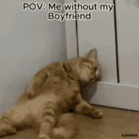 two cats are laying on the floor and one of them is licking the other .