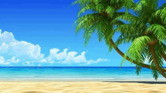 a tropical beach with a palm tree and the ocean in the background .