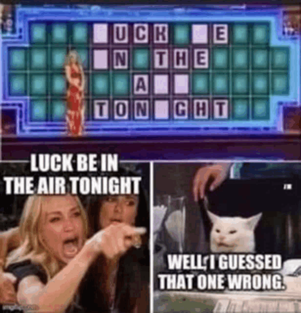 a woman is pointing at a cat on a wheel of fortune show