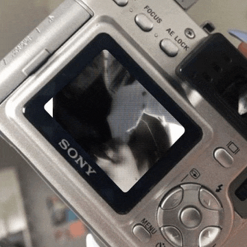 a sony camera shows a black and white photo on the screen