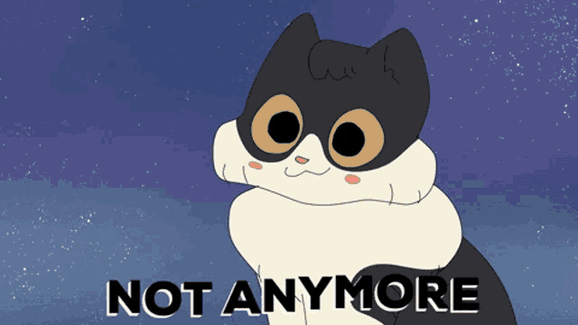 a black and white cat with the words " not anymore " on the bottom