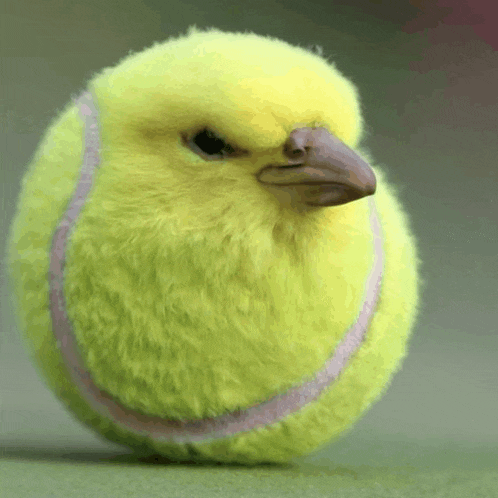 a tennis ball with a bird 's beak on it