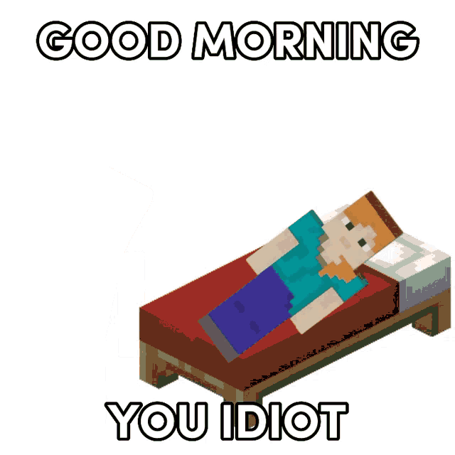 a minecraft character standing next to a bed with the words good morning you idiot