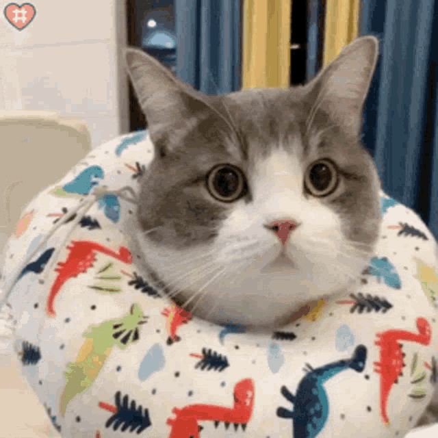 a gray and white cat is sitting on a colorful pillow .