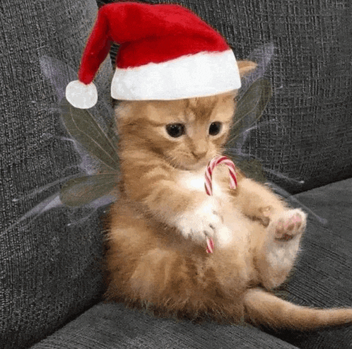 a kitten wearing a santa hat and wings is holding a candy cane