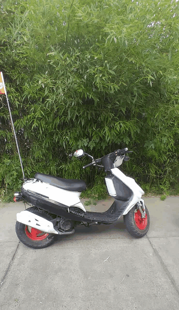 a white scooter is parked in front of a bush