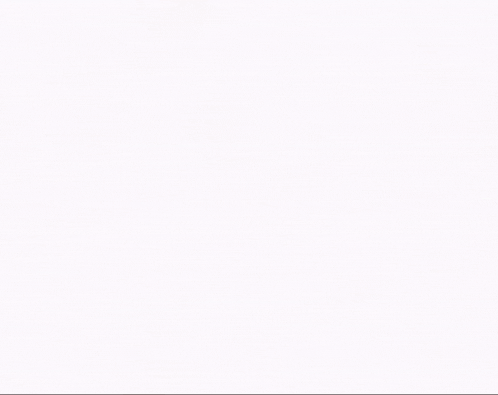 a blurred image of two cats and a teddy bear with the letters pi and p on the bottom