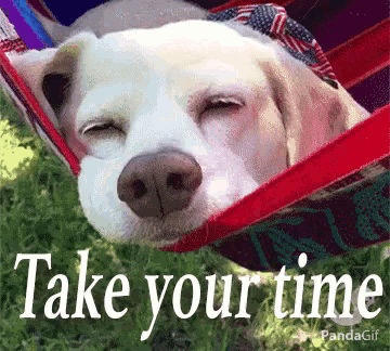 a white dog is sleeping in a hammock with the words take your time written below it