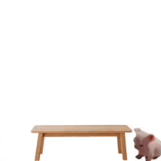 a cat is holding a stack of waffles in its hand .