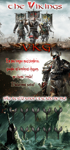 a poster for the vikings vkg shows a group of warriors