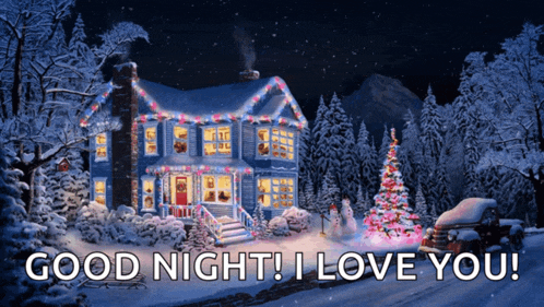 a picture of a house decorated for christmas with the words good night i love you on the bottom