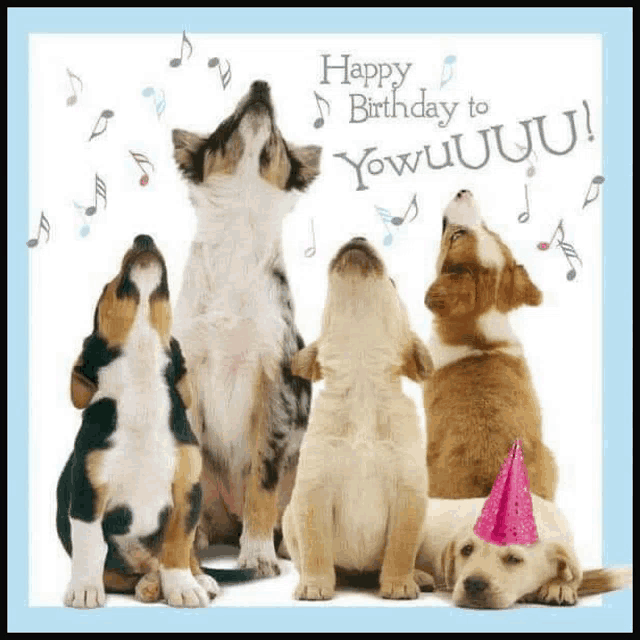 a birthday card with a group of puppies singing