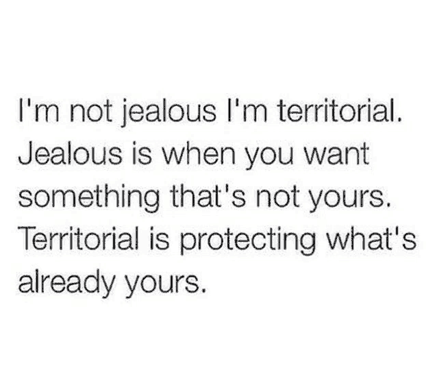 i 'm not jealous , i 'm territorial .