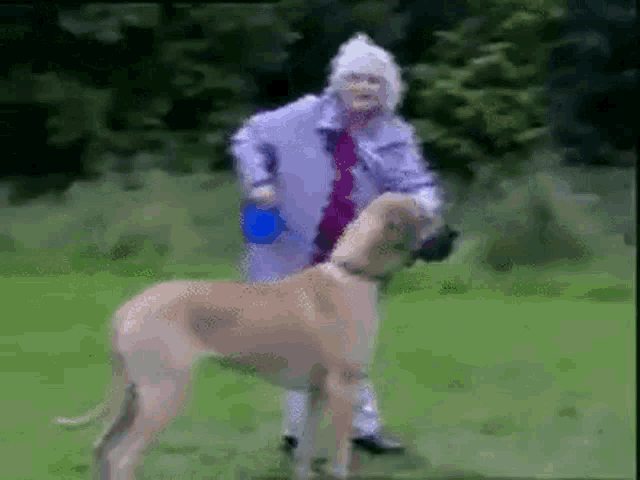 an elderly woman is walking a dog in a field