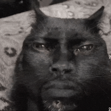 a black cat with horns and a beard is laying on a bed