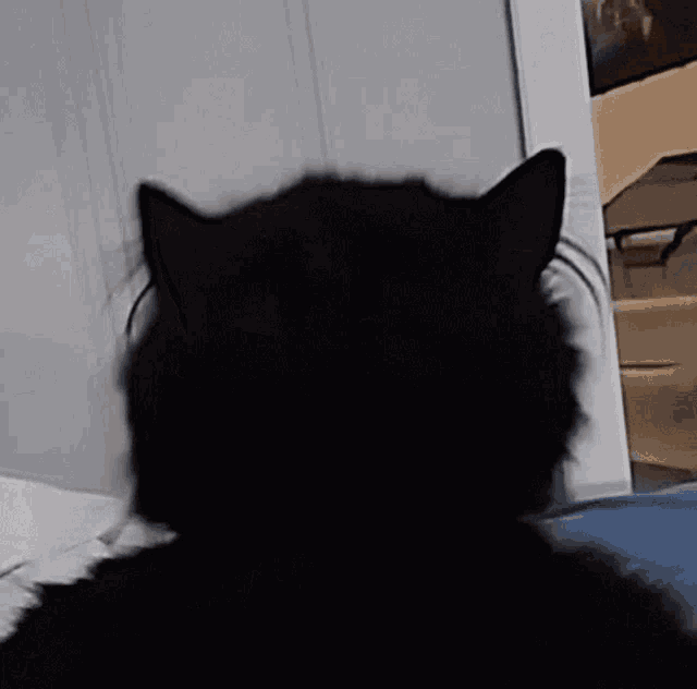a close up of a black cat 's back with its mouth open