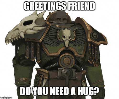 a picture of a space marine with a skull on his shoulder and the caption greetings friend do you need a hug ?