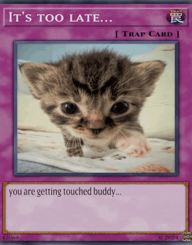 a card that says it 's too late with a picture of a kitten