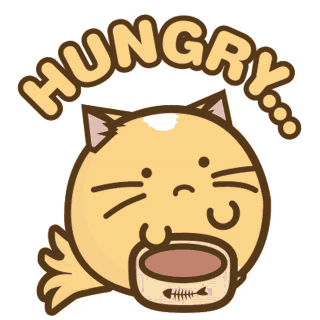 a cat with a bowl in its mouth and the words hungry above it